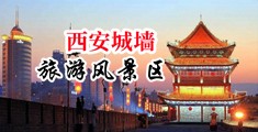 看电影的牛逼网站中国陕西-西安城墙旅游风景区